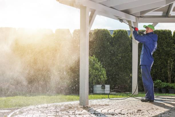 Best Pre-Holiday Cleaning  in Davenport, IA